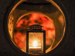 大山紅葉ライトアップ⑥