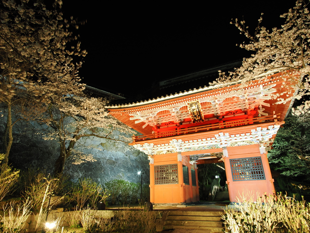 桜川市観光⑥