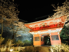桜川市観光⑥