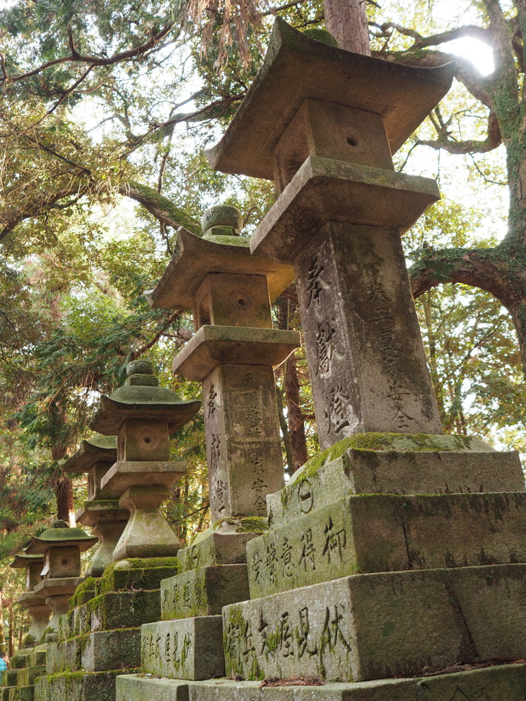春日大社　参道