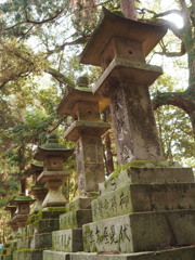 春日大社　参道
