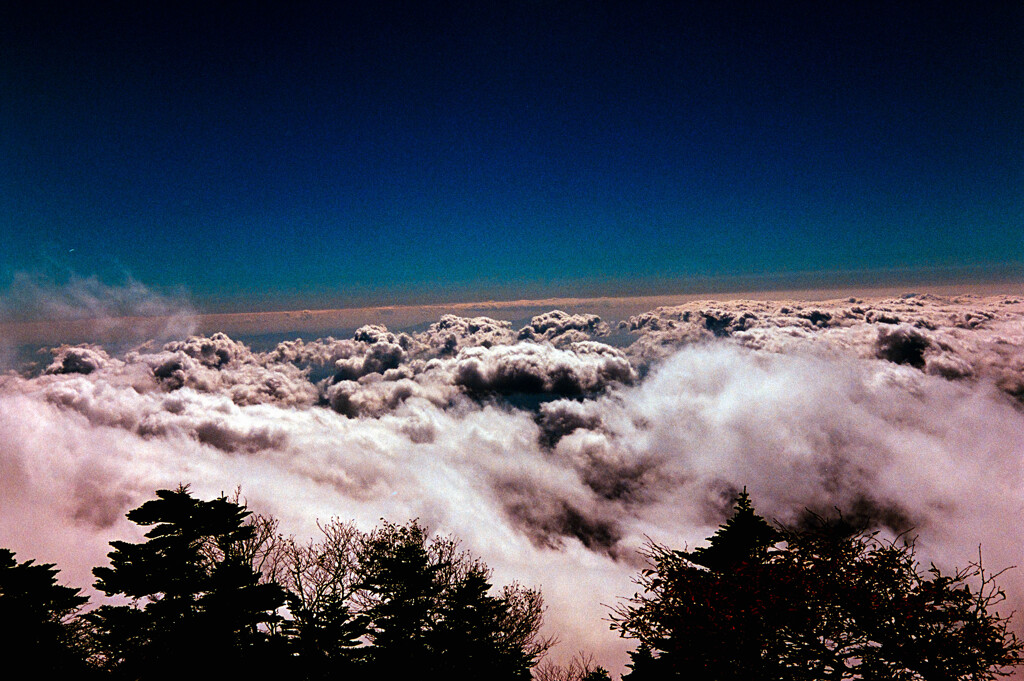 雲海（フィルム）