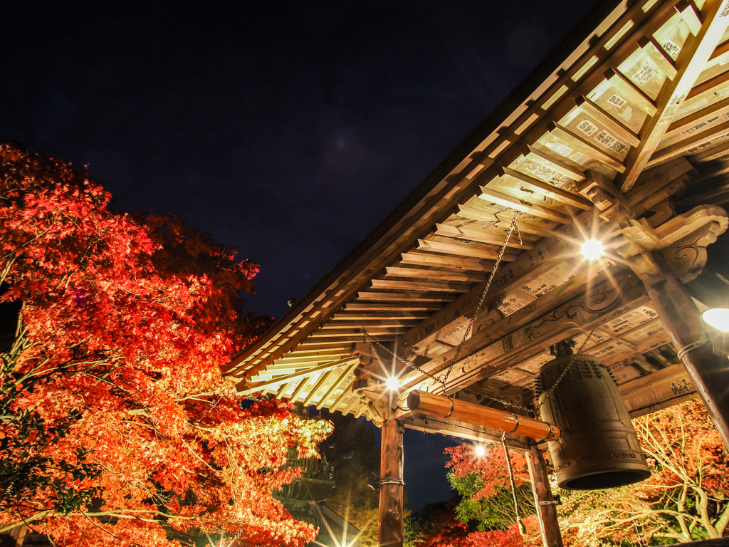 大山　紅葉ライトアップ③