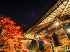 大山　紅葉ライトアップ③