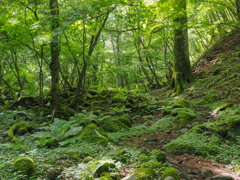 美ヶ原登山