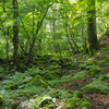 美ヶ原登山