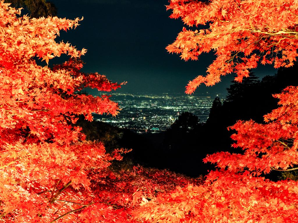 大山　紅葉ライトアップ④