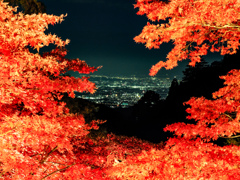 大山　紅葉ライトアップ④