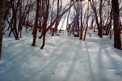 赤城山登山②(フィルム)