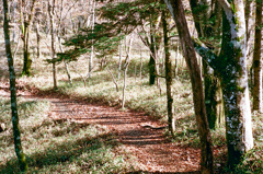 大菩薩嶺　登山道（フィルム）