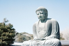 鎌倉散策①(フィルム)