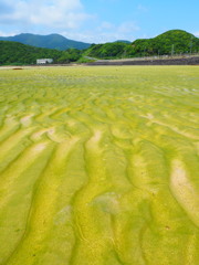 波線