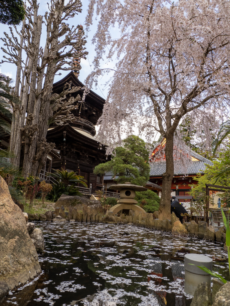 桜川市観光④