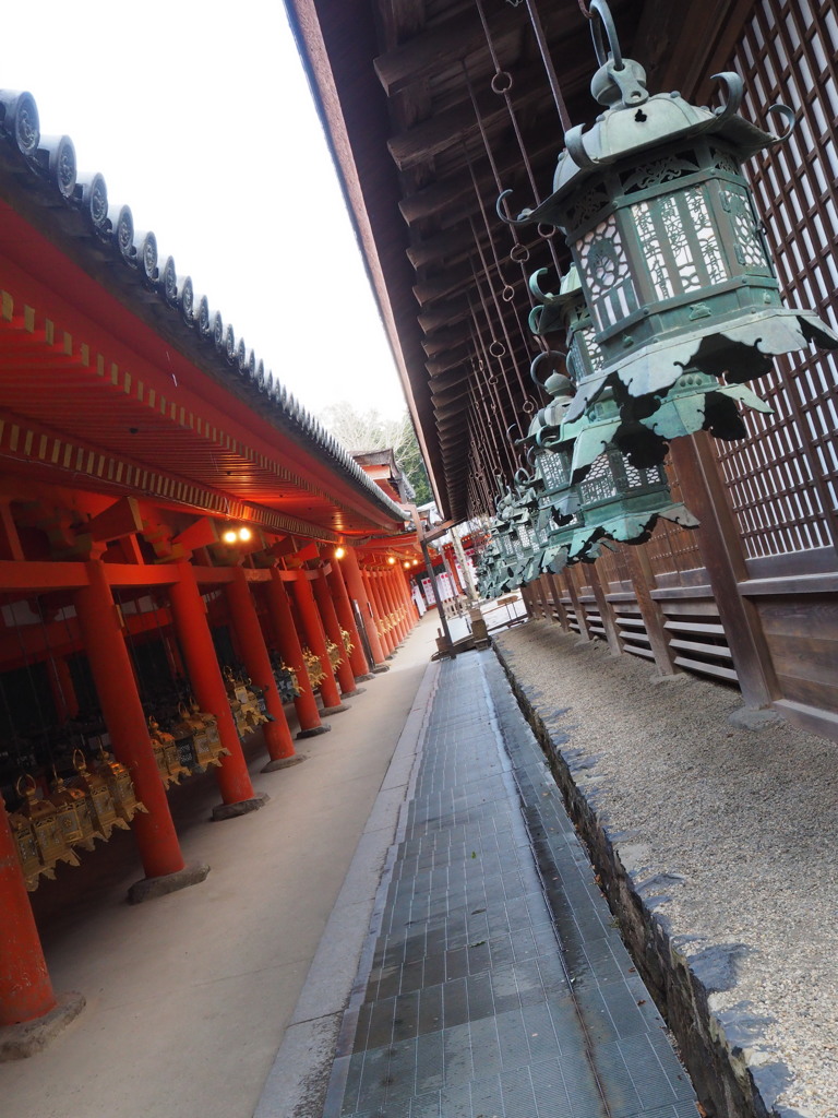 春日大社 細道