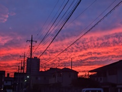 今日の夕焼け