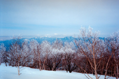 赤城山登山④(フィルム)