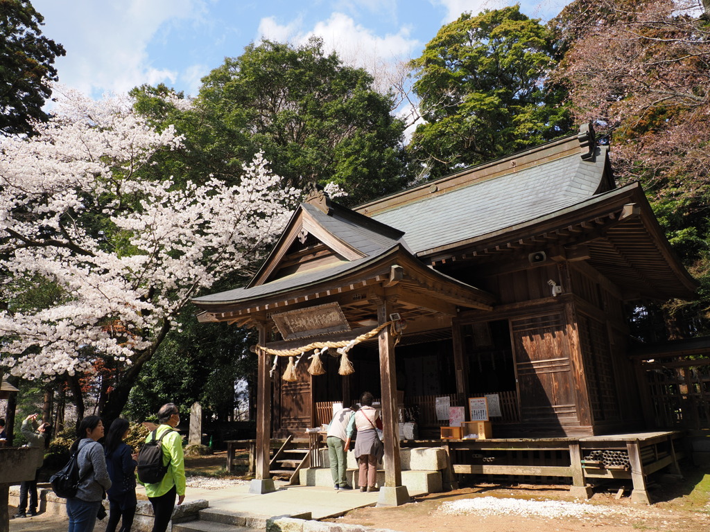 桜川市観光