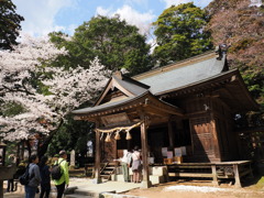 桜川市観光