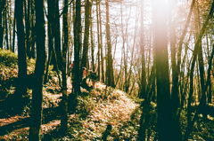 大菩薩嶺　登山道③（フィルム）