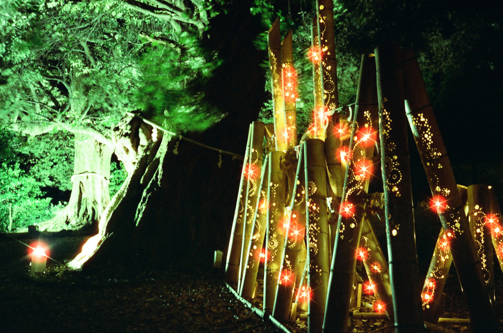 音無神社の竹あかり（フィルム）