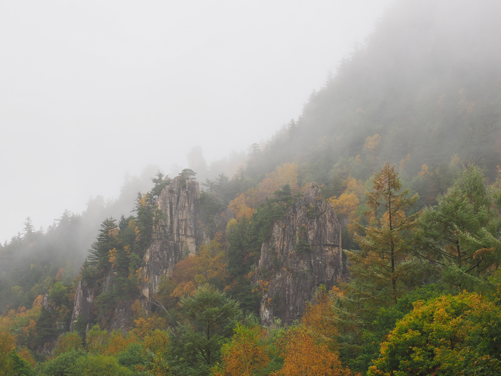 霧の紅葉