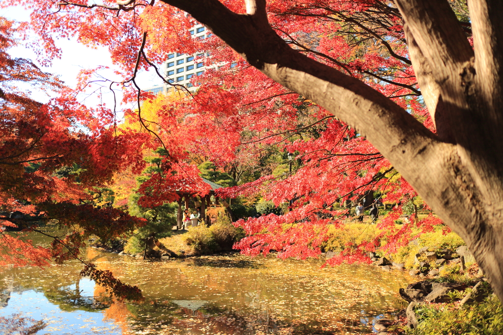 日比谷公園