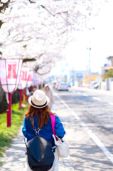 妻と桜2