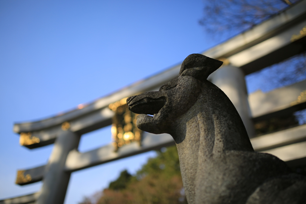 こま犬様