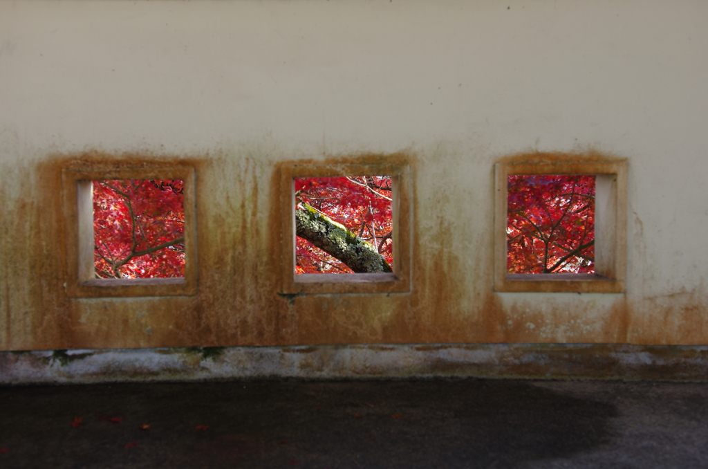 秋の小窓