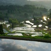 星峠の棚田②