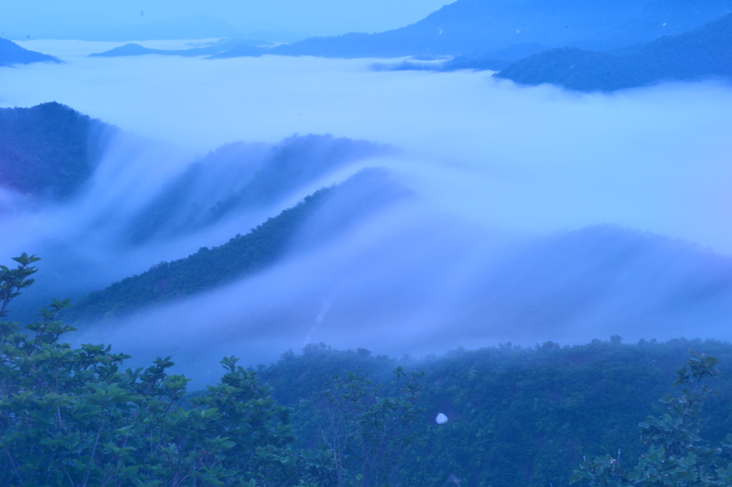 雲海