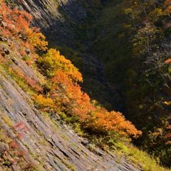 清津峡の紅葉