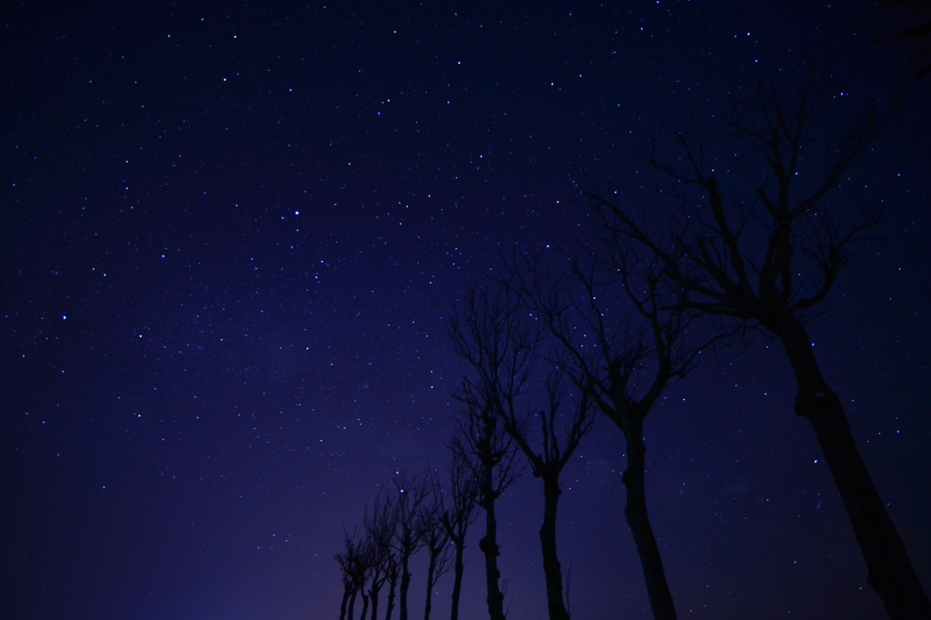 夜空の下