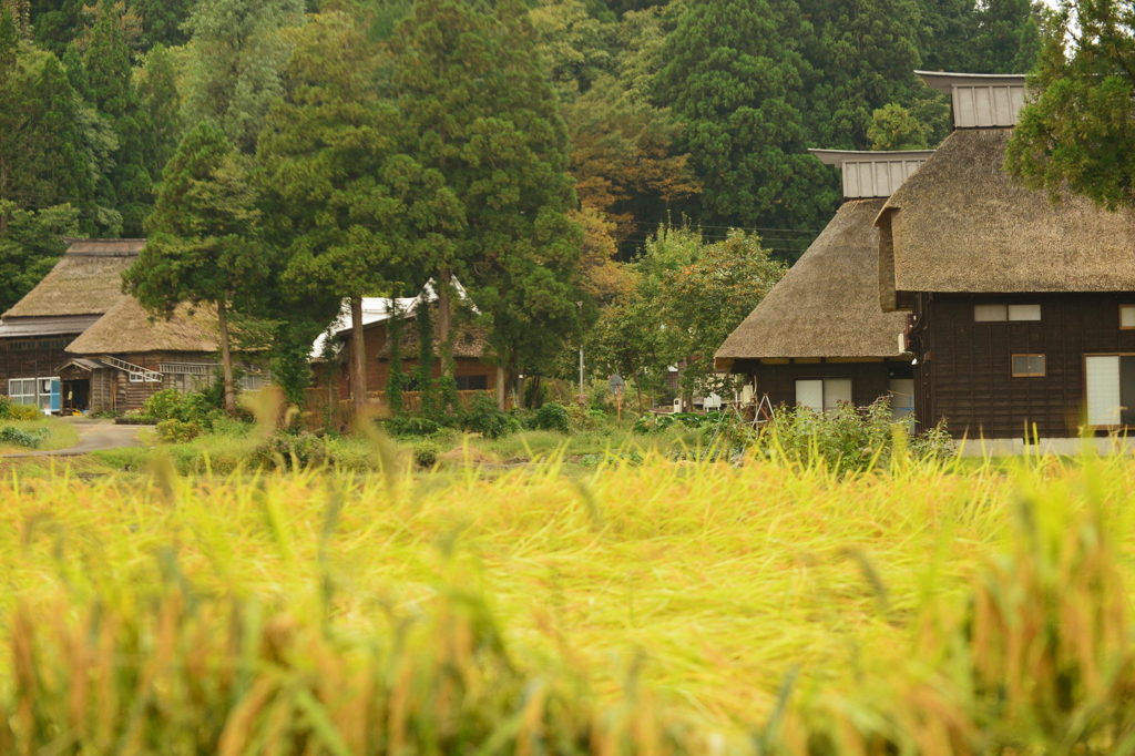 田舎暮らし