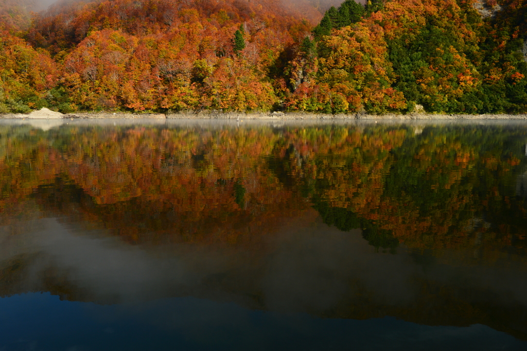 銀山平の紅葉
