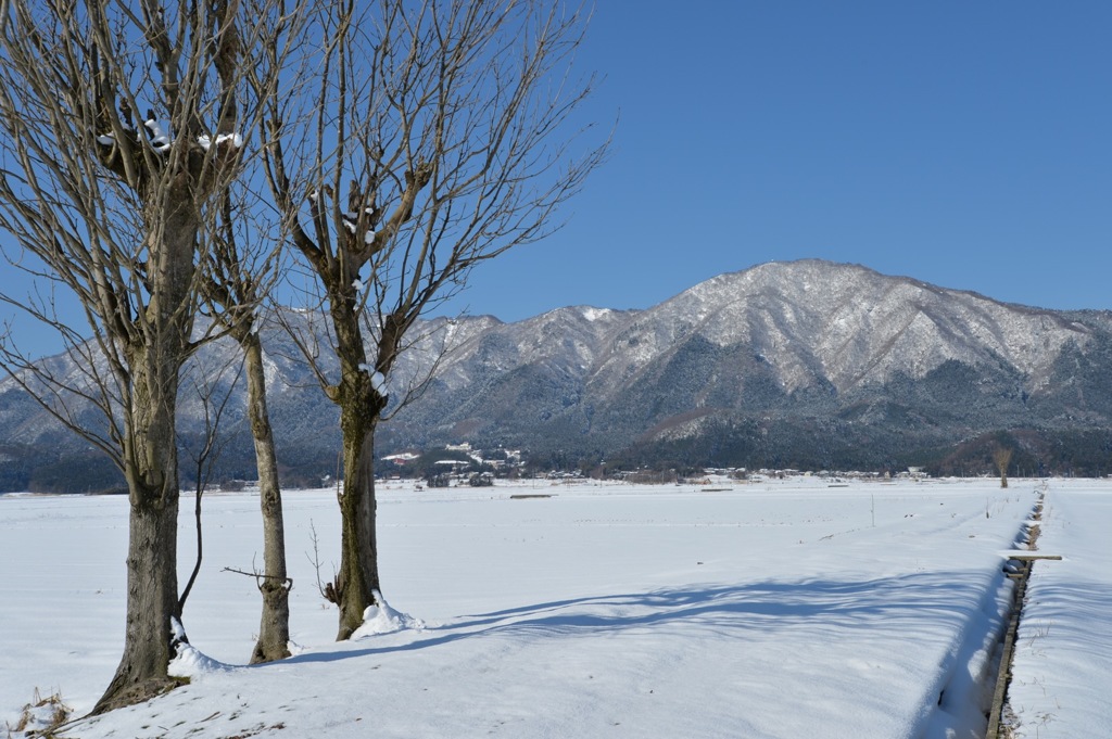 新潟弥彦山