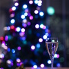 クリスマスディナー