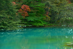 磐梯高原　五色沼