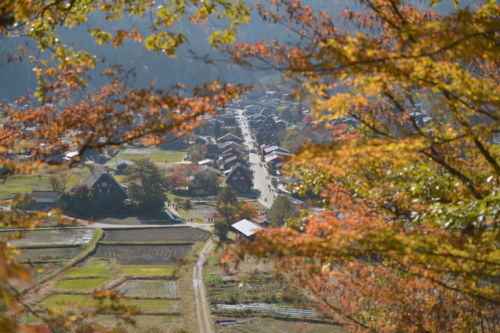 初白川郷