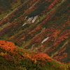 立山の紅葉