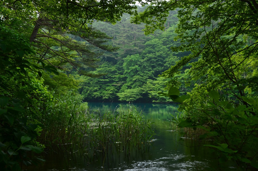 五色沼