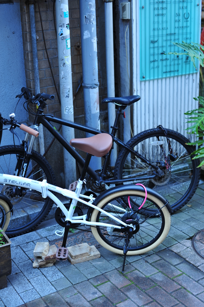 なぜか自転車を撮りたくなる・・・