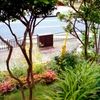 フイルム　都会の花園