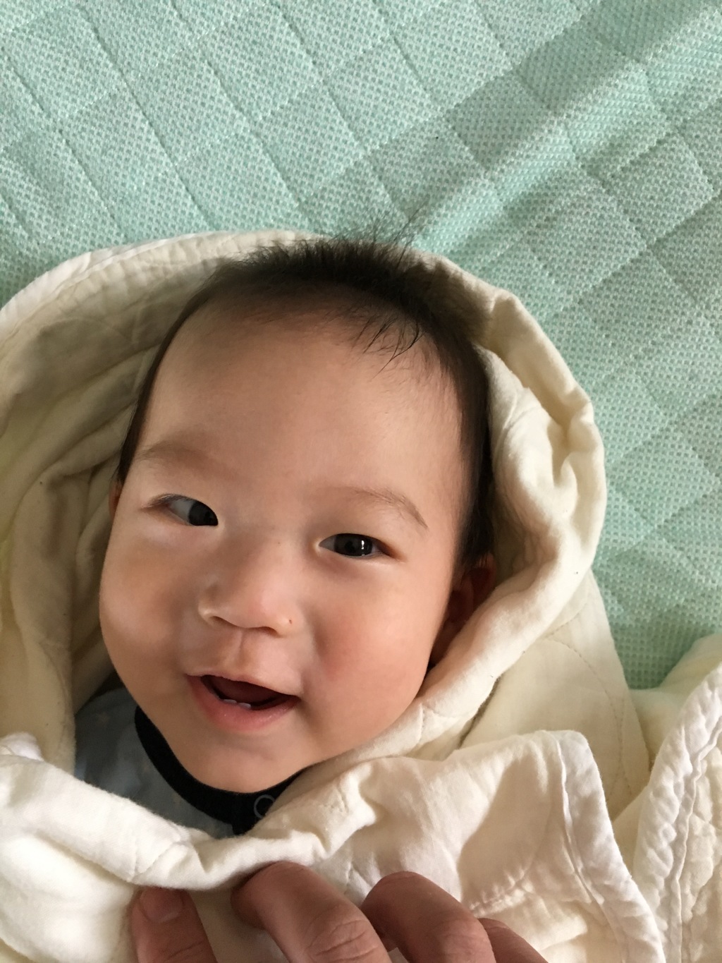 段々成長
