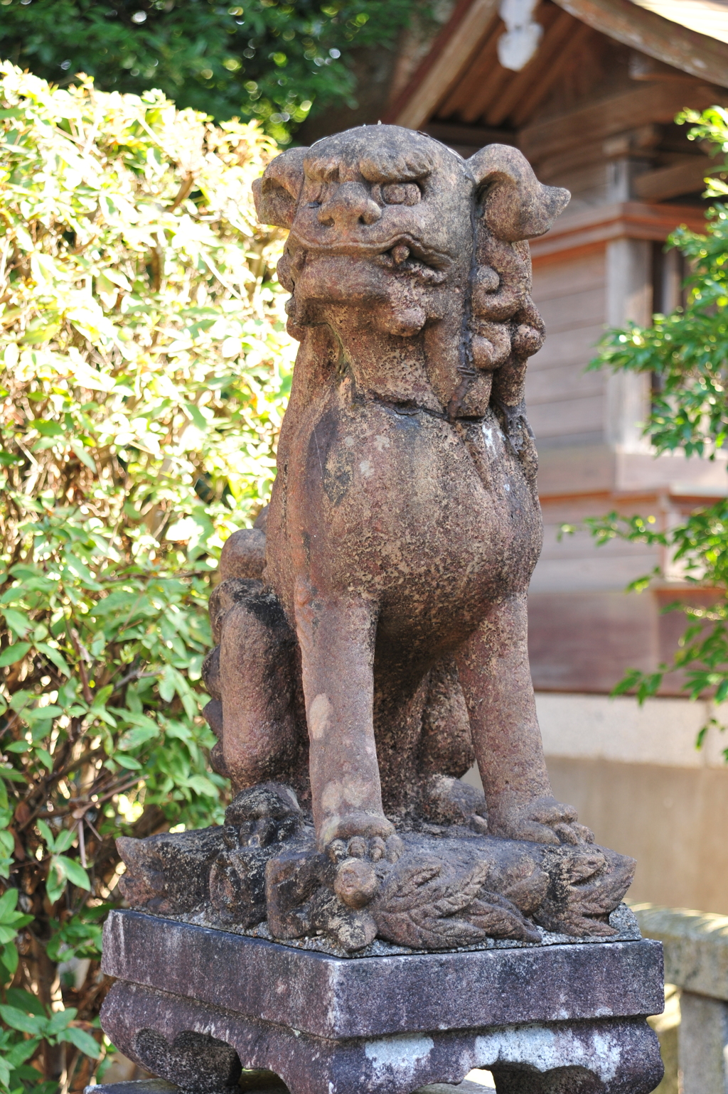 旗生神社の狛犬
