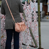初詣　赤間神宮③