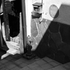 温泉街の消火栓