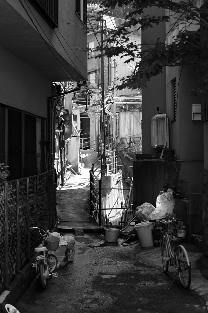 路地はいい