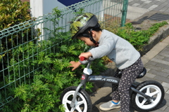 キックバイクの冒険