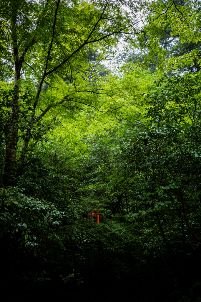 箱根神社